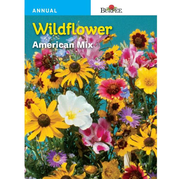 Burpee Wildflower American Mix Seed 38455