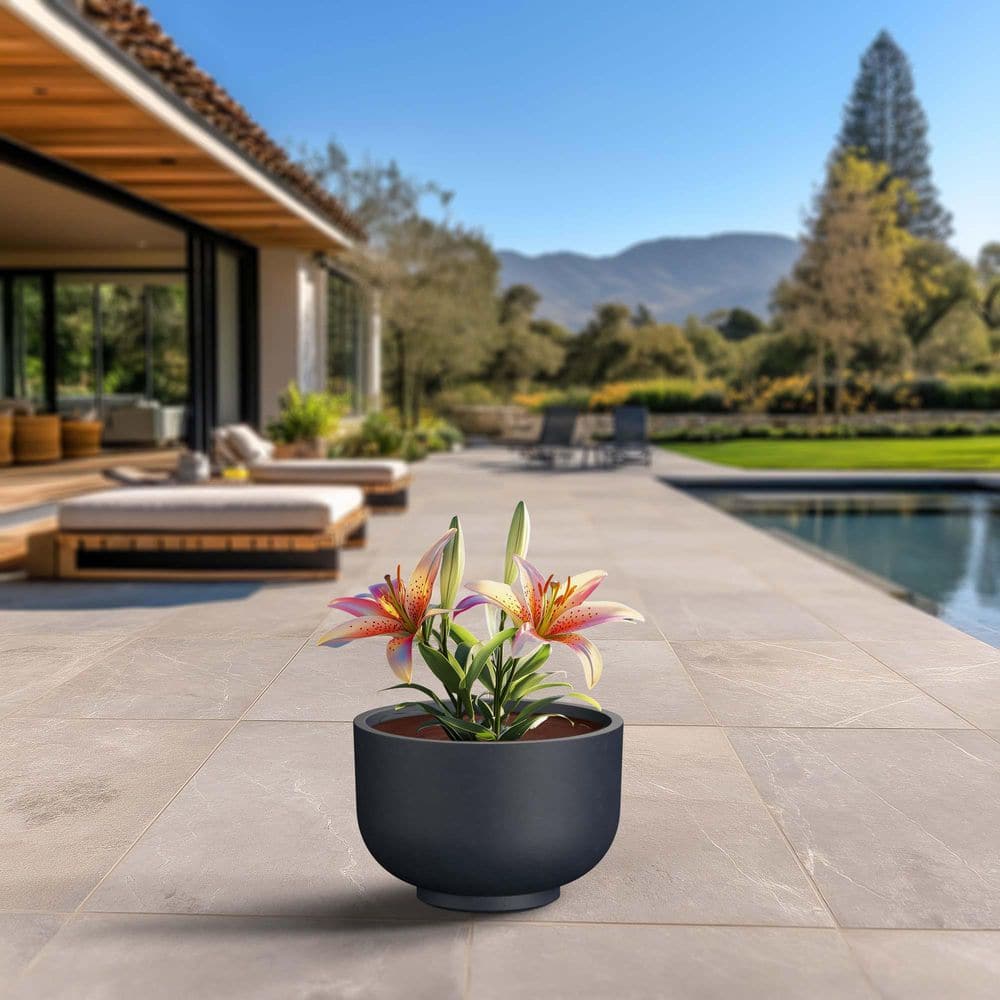 18 in. Large Granite Gray (Enhanced Interior) Concrete Round Planter / Pot with Drainage Holes price history on PriceWatchPro