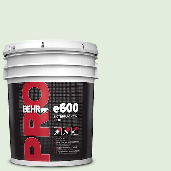 BEHR PRO 5 gal. #M400-1 Establish Mint Flat Paint