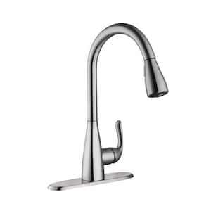 Carla Single-Handle Pull-Down Sprayer Kitchen Faucet in Stainless Steel
