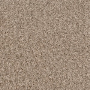 Perfected I  - Accomplished - Beige 40 oz. SD Polyester Texture Installed Carpet