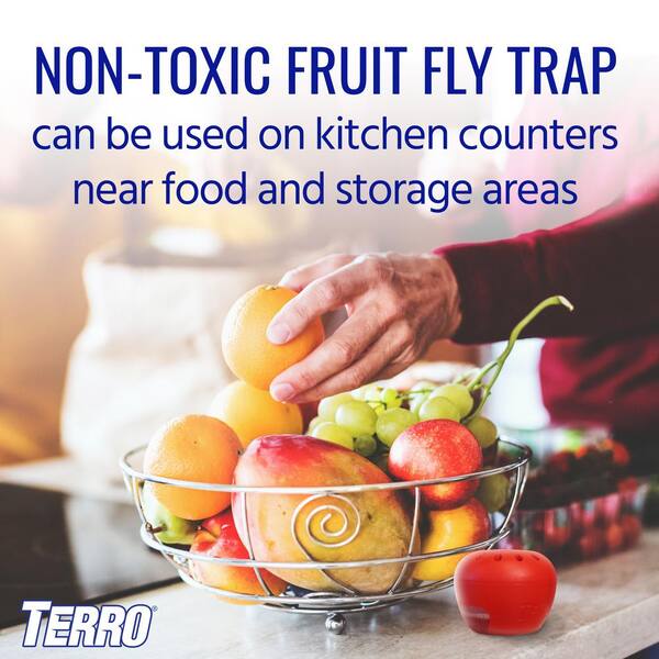 Fly Trap, Fly Killer, Fruit Fly Trap & Drain Fly Killer Treatment for  Indoor Fly Control in Kitchen, Restaurants, and More