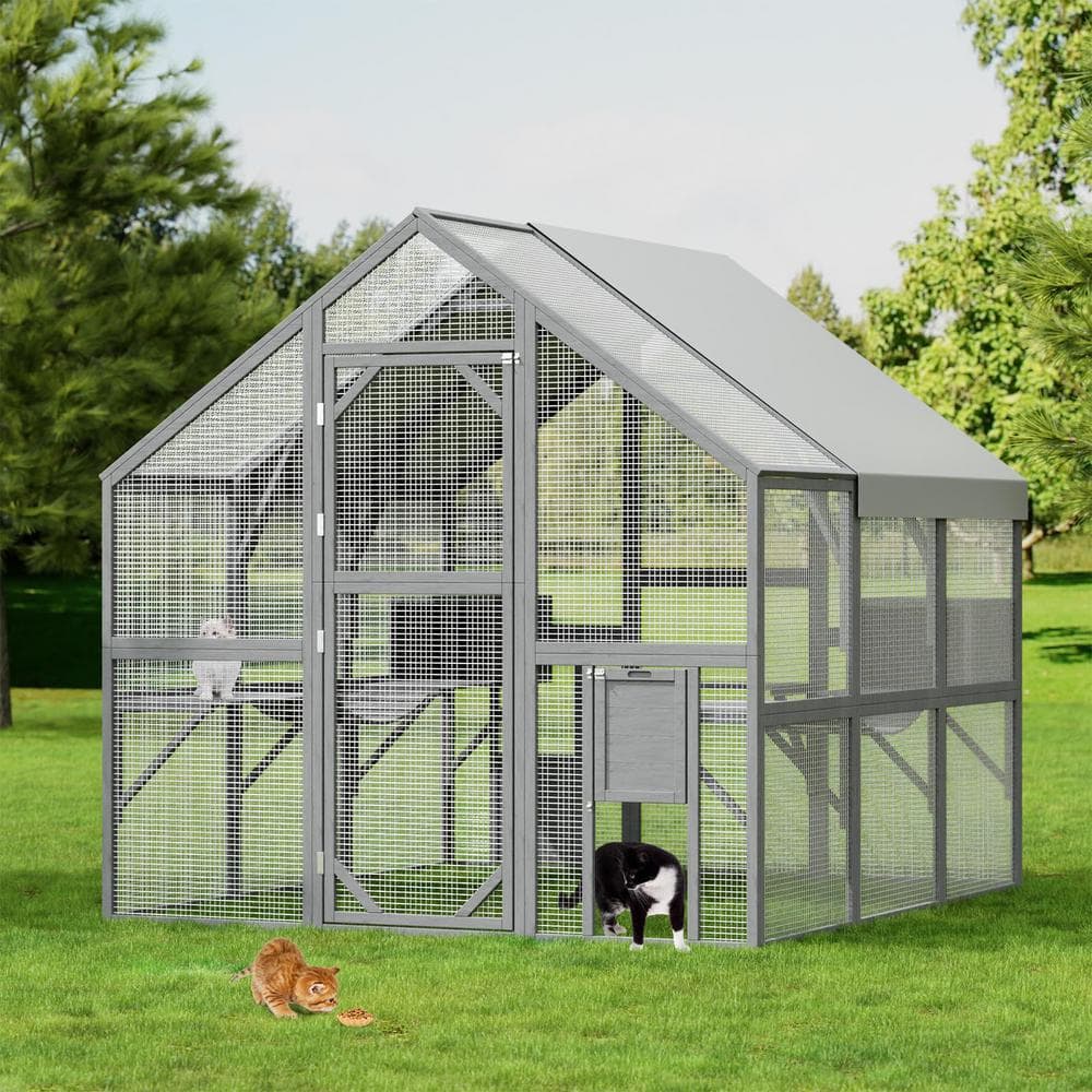 Outdoor cat shed best sale