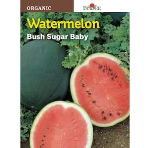 Organic Watermelon Bush Sugar Baby Seed