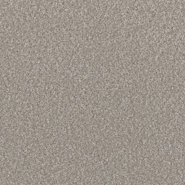 Gentle Glimmer I-Luster Beige-50 oz. SD Polyester Texture Carpet - Installation Required