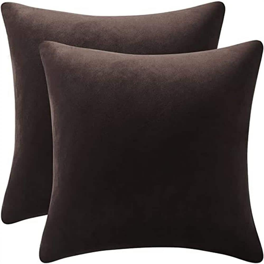 22 in. x 22 in. Outdoor Decorative Pillow Cases Chocolate Brown Cozy Soft Velvet Square Throw Pillow Covers 2 Pack