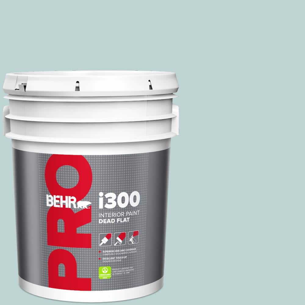 5 gal. #500E-3 Rain Washed Dead Flat Interior Paint price history on PriceWatchPro
