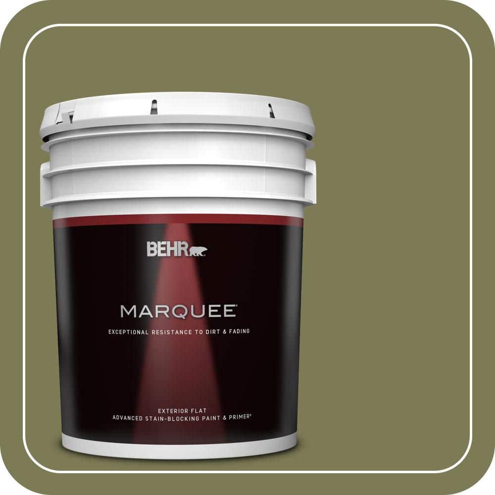 5 gal. #S370-6 Seaweed Salad Flat Exterior Paint & Primer price history on PriceWatchPro