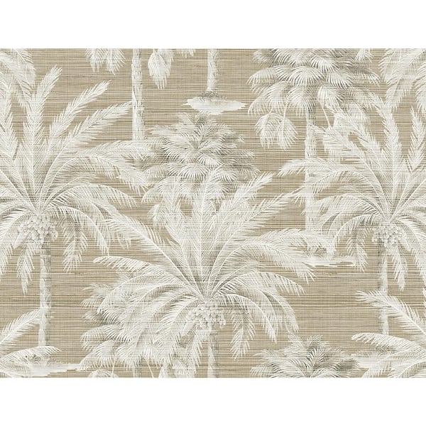 Kenneth James Dream Of Palm Trees Brown Texture Brown Wallpaper Sample