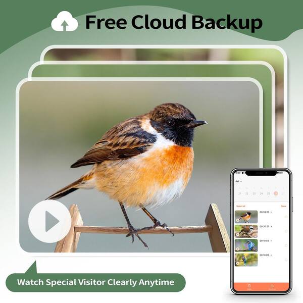 Smart Bird Feeders with Camera, Wood Wild Bird Seed Feeder House for Birdwatching, Natural