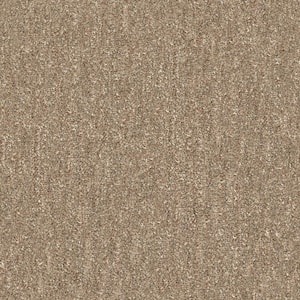 Port Isabel - Fairview Taupe - Brown 15 ft. 46.8 oz. SD Nylon Pattern Installed Carpet