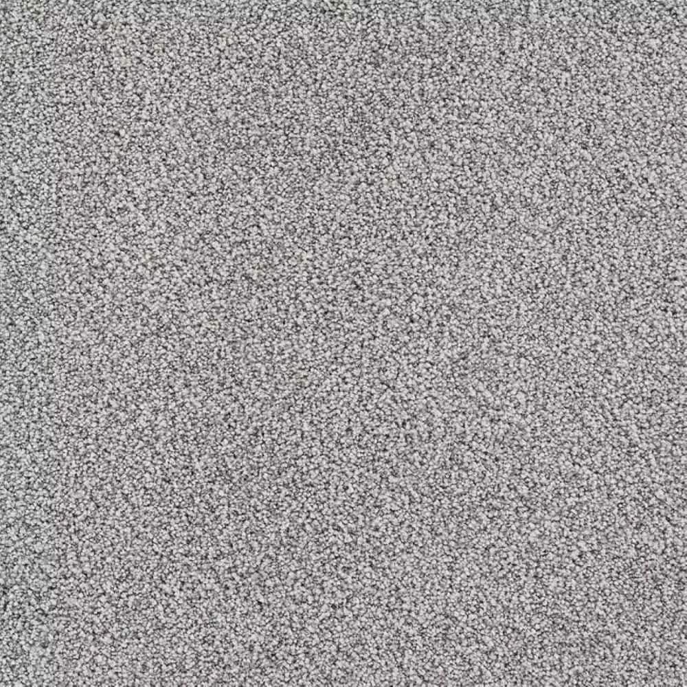 8 in. x 8 in. Texture Carpet Sample-Velvetine III-Color Dawn price history on PriceWatchPro