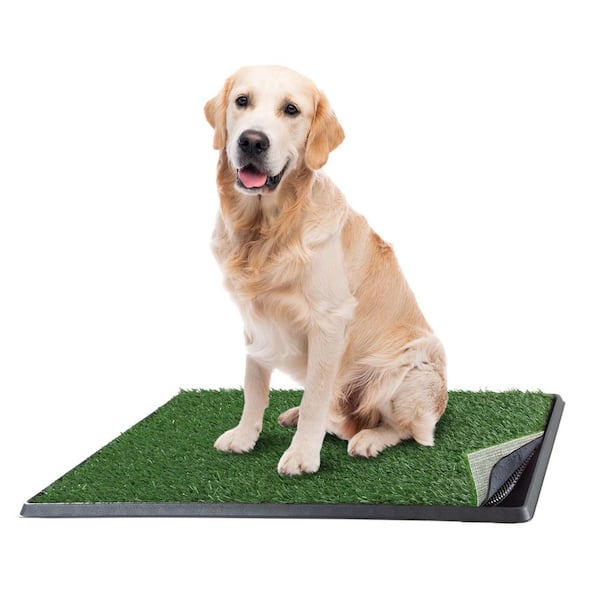 Pee Pad Holder for Small Dogs Indoor Potty Training Tray for Little Puppy  or Cat Litter Mat Only(Very Small)