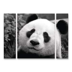 SD Smart Giant Panda 3-Piece Panel Set Unframed Photography Wall Art 30 in. x 41 in.