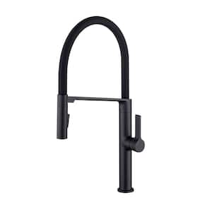 Single-Handle Pull-Down Sprayer Kitchen Faucet with 2-Function Sprayhead in Matte Black