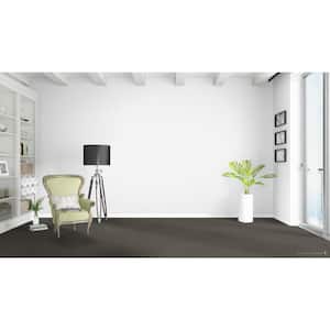 Dream Wish - Focus - Gray 32 oz. SD Polyester Texture Installed Carpet
