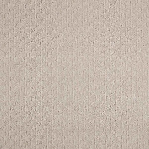 Shiloh Point  - Castle Rock - Brown 40 oz. Triexta Pattern Installed Carpet