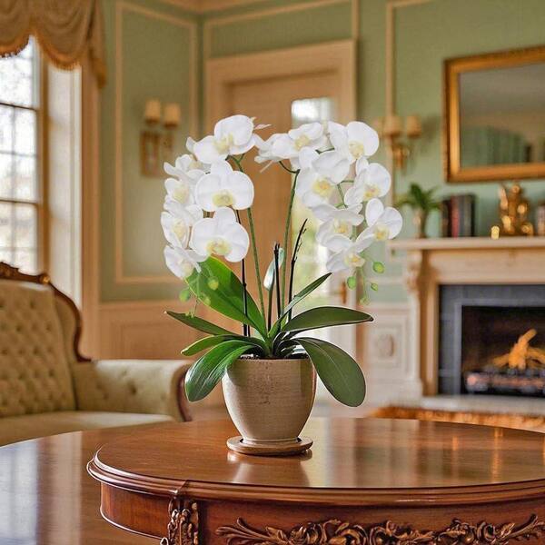 Unbranded 38 in. White Indoor Artificial Orchid Flower Z07D13NM86