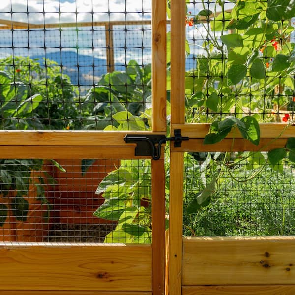 Reviews for Outdoor Living Today 8 ft. x 16 ft. Cedar Garden in a