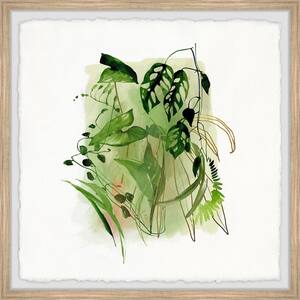 "Diverse Plants" by Marmont Hill Framed Nature Art Print 18 in. x 18 in.