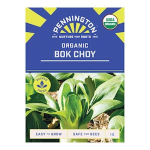 Organic Bok Choy Vegetable Seeds