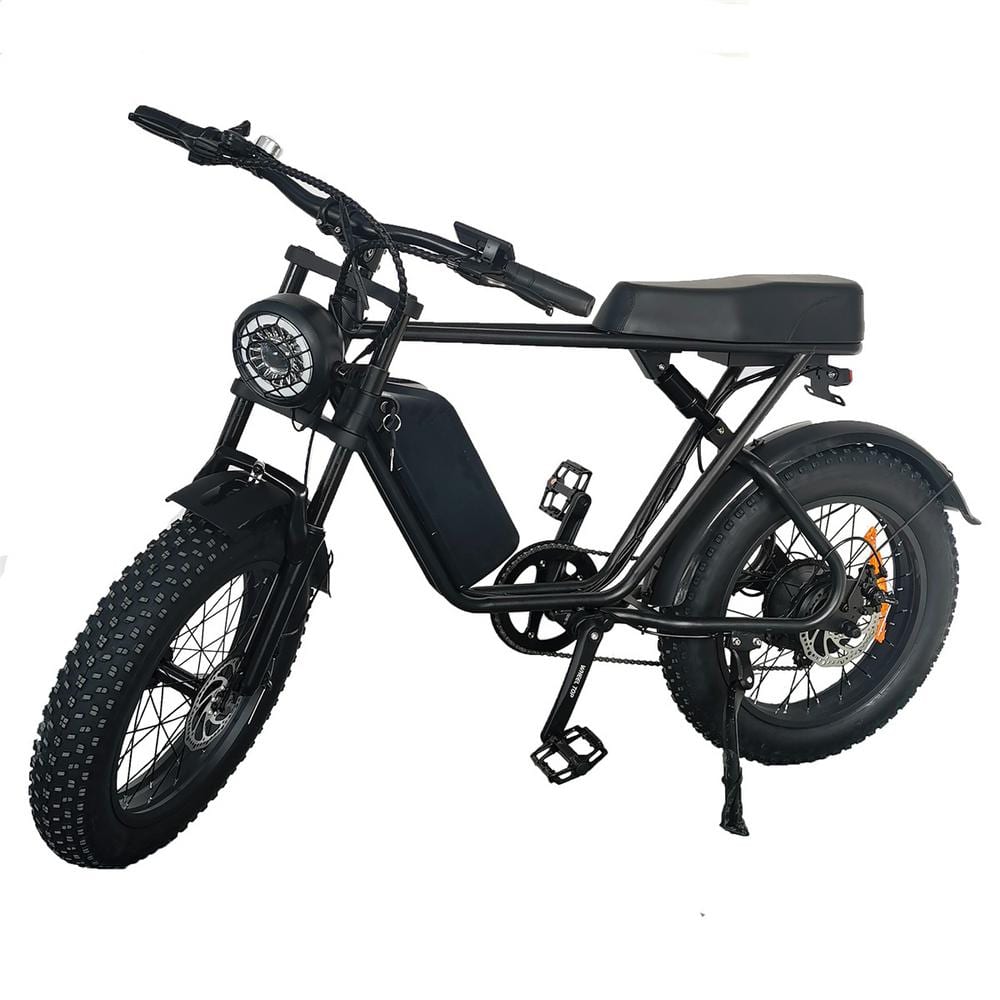 Wildaven 20 In. Electric Bike With 100-watt Powerful Motor, 4-volt 18ah 