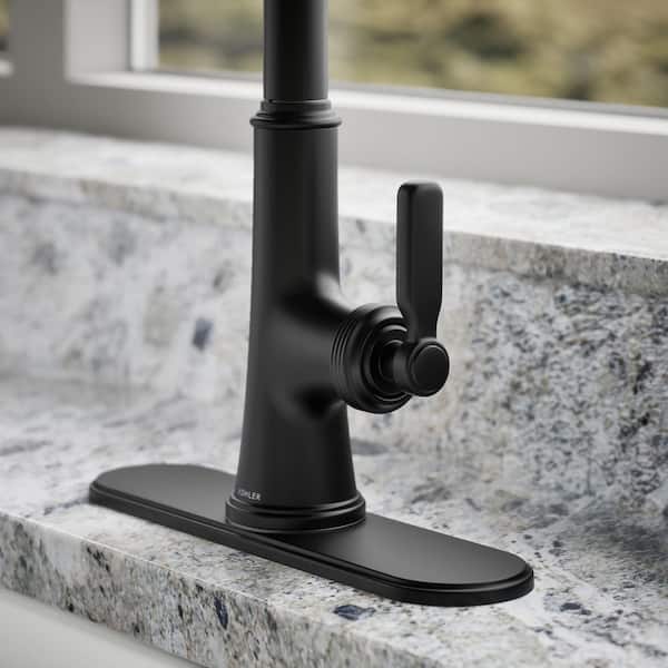 KOHLER Adva Single Handle 3-Function Pull Down Sprayer Kitchen