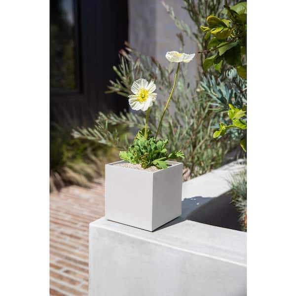 Geo Small WhitePlastic Cube Planter and All Weather Resistant (5 in. L x 5 in. W x 5 in. H) (2-Pack)