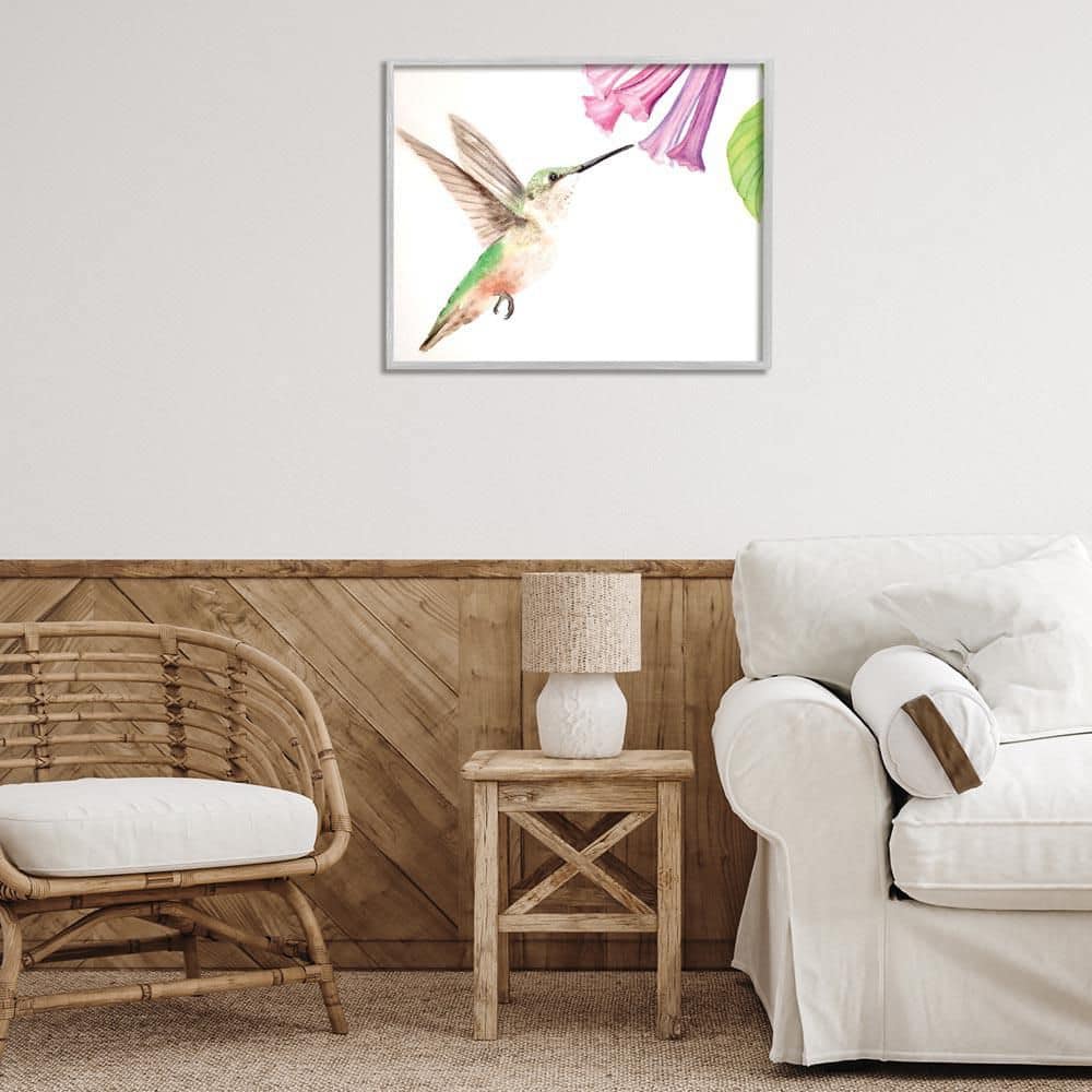 Hummingbird & Bluebell Flower by Stephanie Fielden Gray Framed Animal Giclee Art Print 24 in. x 30 in. price history on PriceWatchPro