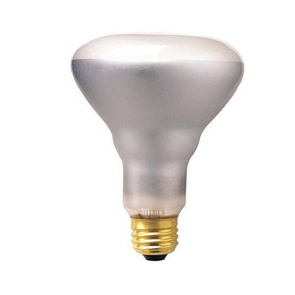 Bulbrite 65-Watt Incandescent BR30 Light Bulb (10-Pack)