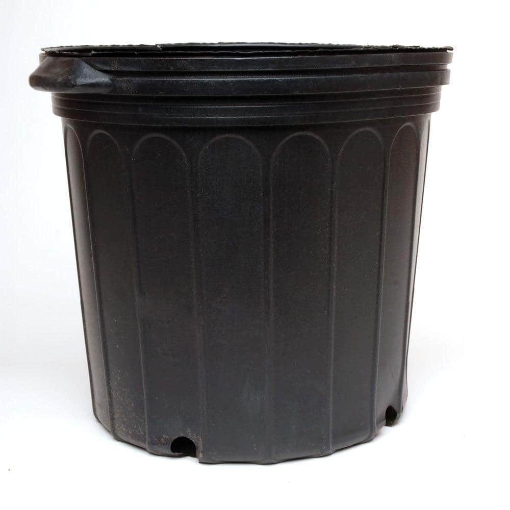 10 in. Plastic Nursery Pot TPNP03 The Home Depot