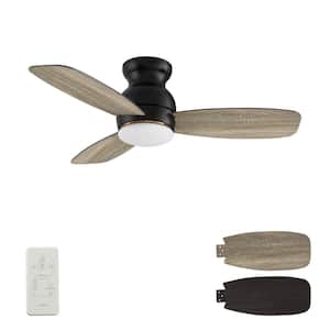 Arran 44 in. Color Changing Integrated LED Indoor Matte Black 10-Speed DC Ceiling Fan with Light Kit and Remote Control