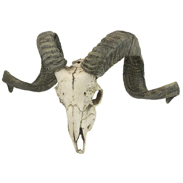 Design Toscano 11.5 in. x 18.5 in. Corsican Ram Skull and Horns Wall Trophy