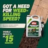 ortho-weed-grass-killer-461326405-a0.3