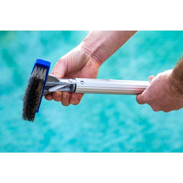 5.5 in. Stainless Steel Bristle Swimming Pool Brush for Algae Removal