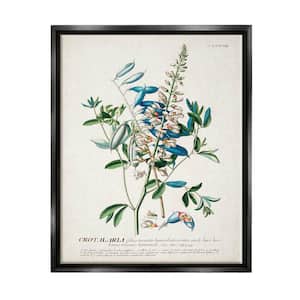 Botanical Plant Illustration Flowers And Leaves by World Art Group Floater Frame Nature Wall Art Print 31 in. x 25 in. .