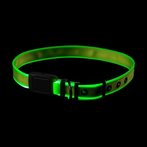 Nite Ize NiteDog - XL - Lime/Green Rechargeable LED Collar