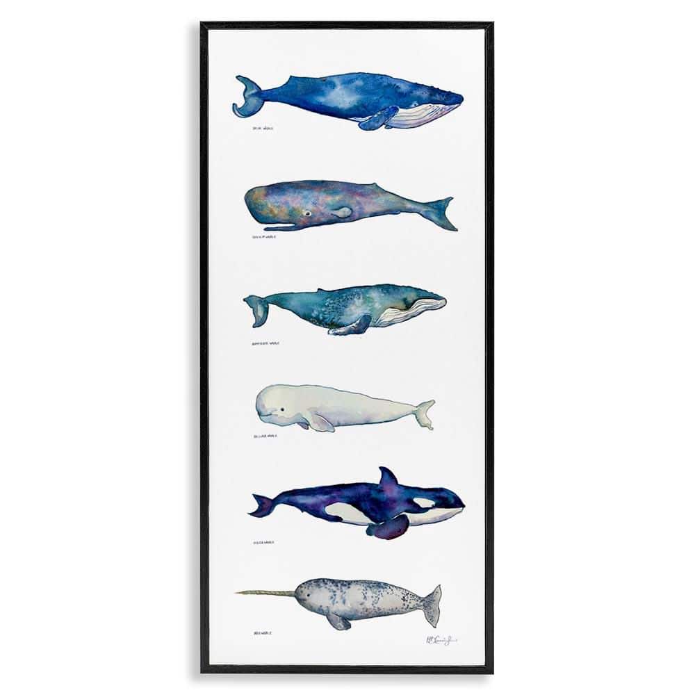 Maritime Sea Life Chart by MB Cunningham Black Framed Giclee Art Print Animal 10 in. x 24 in. price history on PriceWatchPro