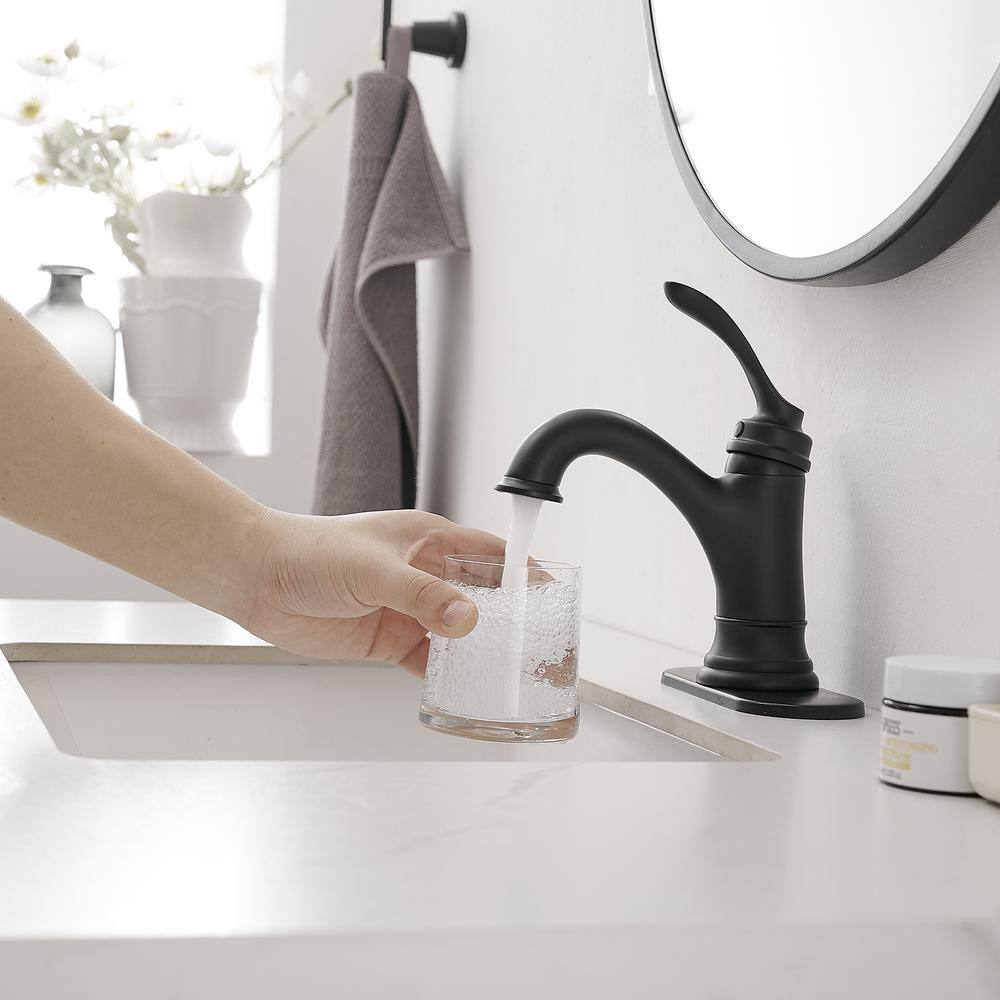 Matte Black Stainless Steel Single-Handle Bathroom Faucet with Drain Assembly