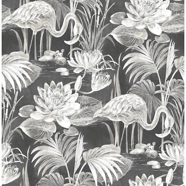 Brewster Miltonia Black Flamingo Black Wallpaper Sample