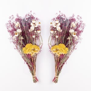14 in Magenta Dried Natural Baby's Breath Mini Bouquet (2-Pack)
