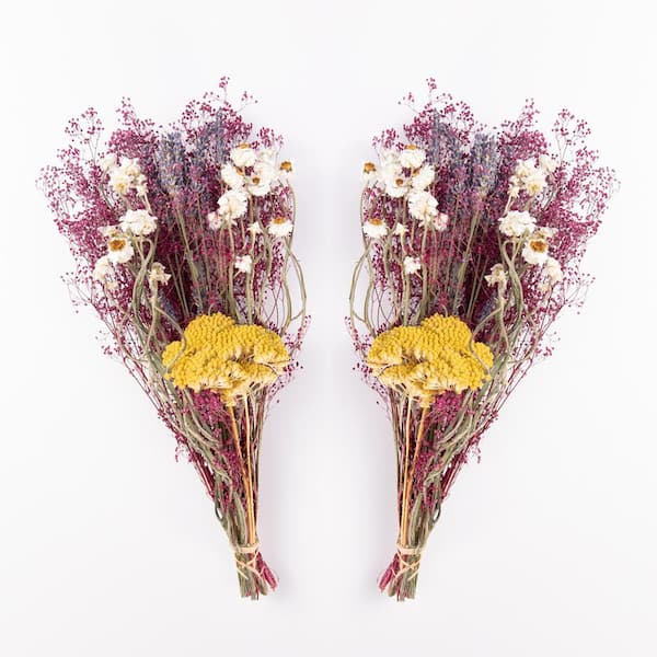 Bindle & Brass 14 in Magenta Dried Natural Baby's Breath Mini Bouquet (2-Pack)