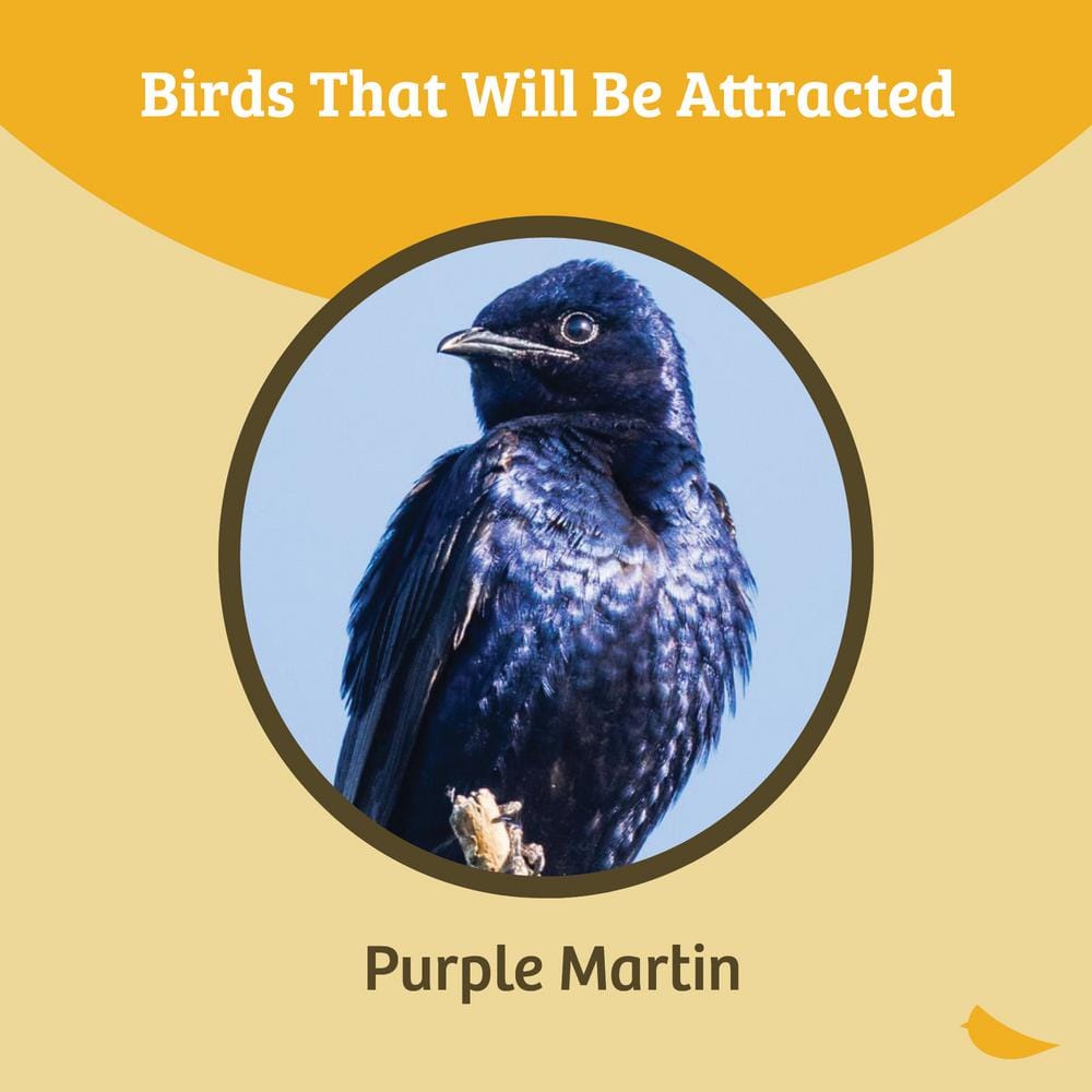 12 ft. Heavy Duty Telescoping Pole for Purple Martin House