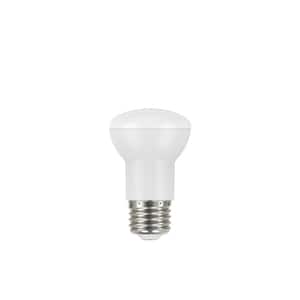 100-Watt Equivalent R20 CEC Dimmable LED Light Bulb in Daylight (1-Bulb)