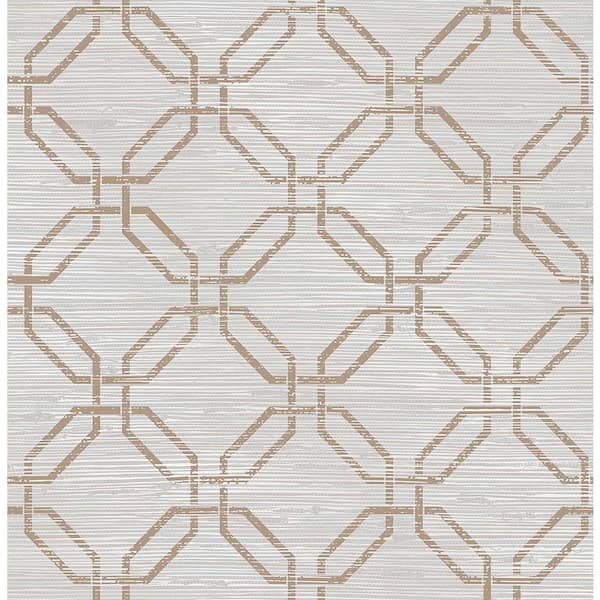 Brewster Phaius Taupe Trellis Taupe Wallpaper Sample