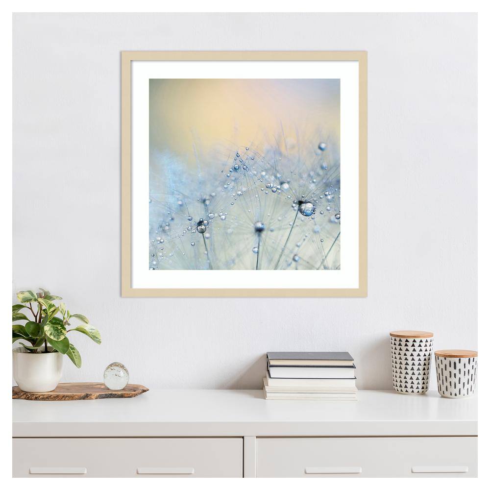 Ice Blue Nature Photography in Svelte Natural Wood Frame