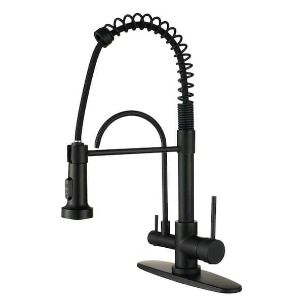Brass Double Handle 17.5in. H 360° Swivel Pull Down Sprayer Kitchen Faucet with Water Filter Faucet Combo in Matte Black