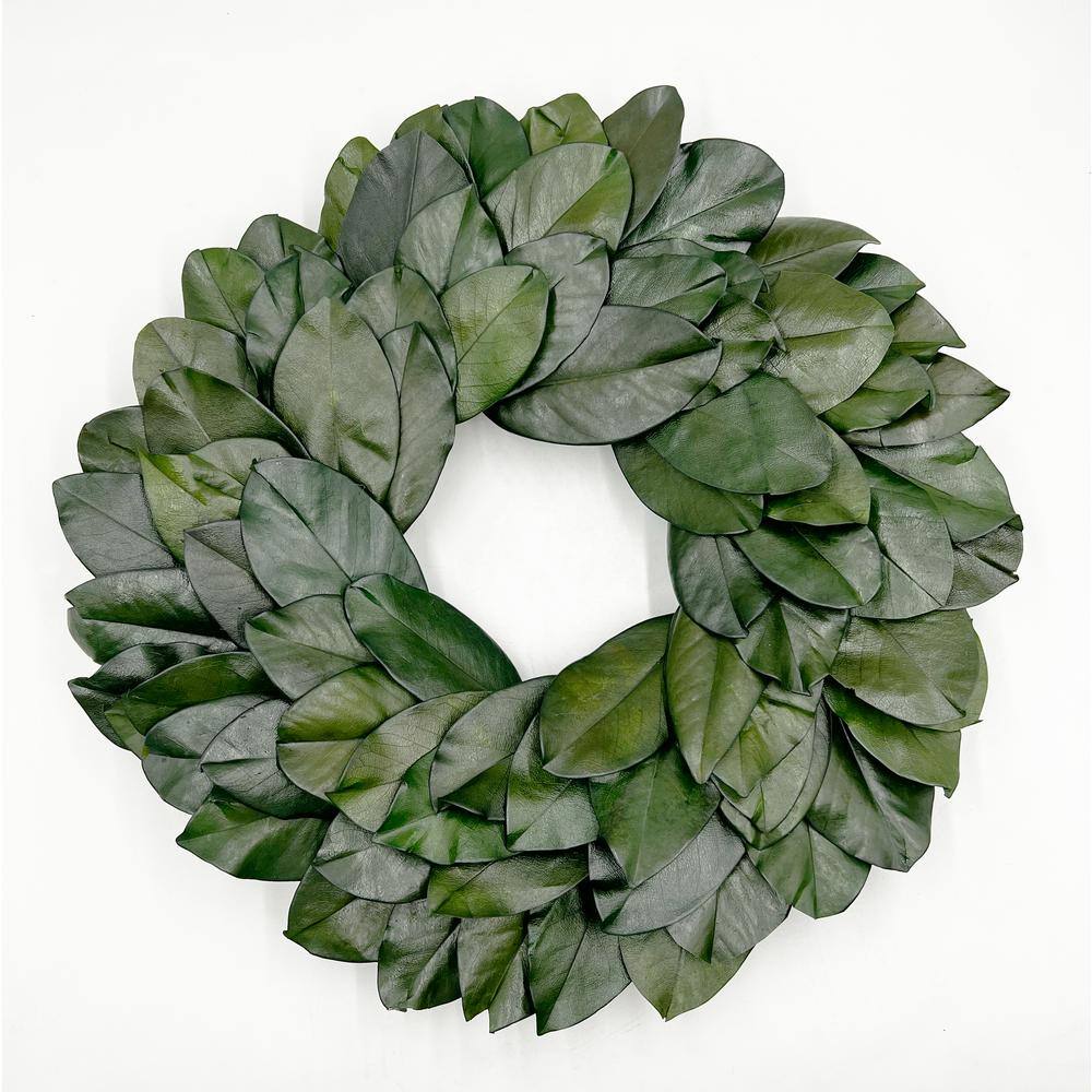 21 in. non Artificial Preserved Magnolia Wreath price history on PriceWatchPro