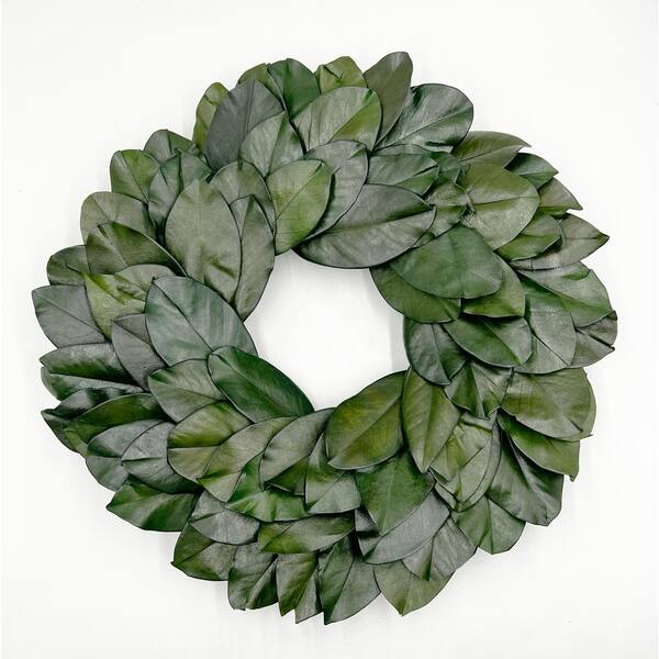 castellousa 21 in. non Artificial Preserved Magnolia Wreath
