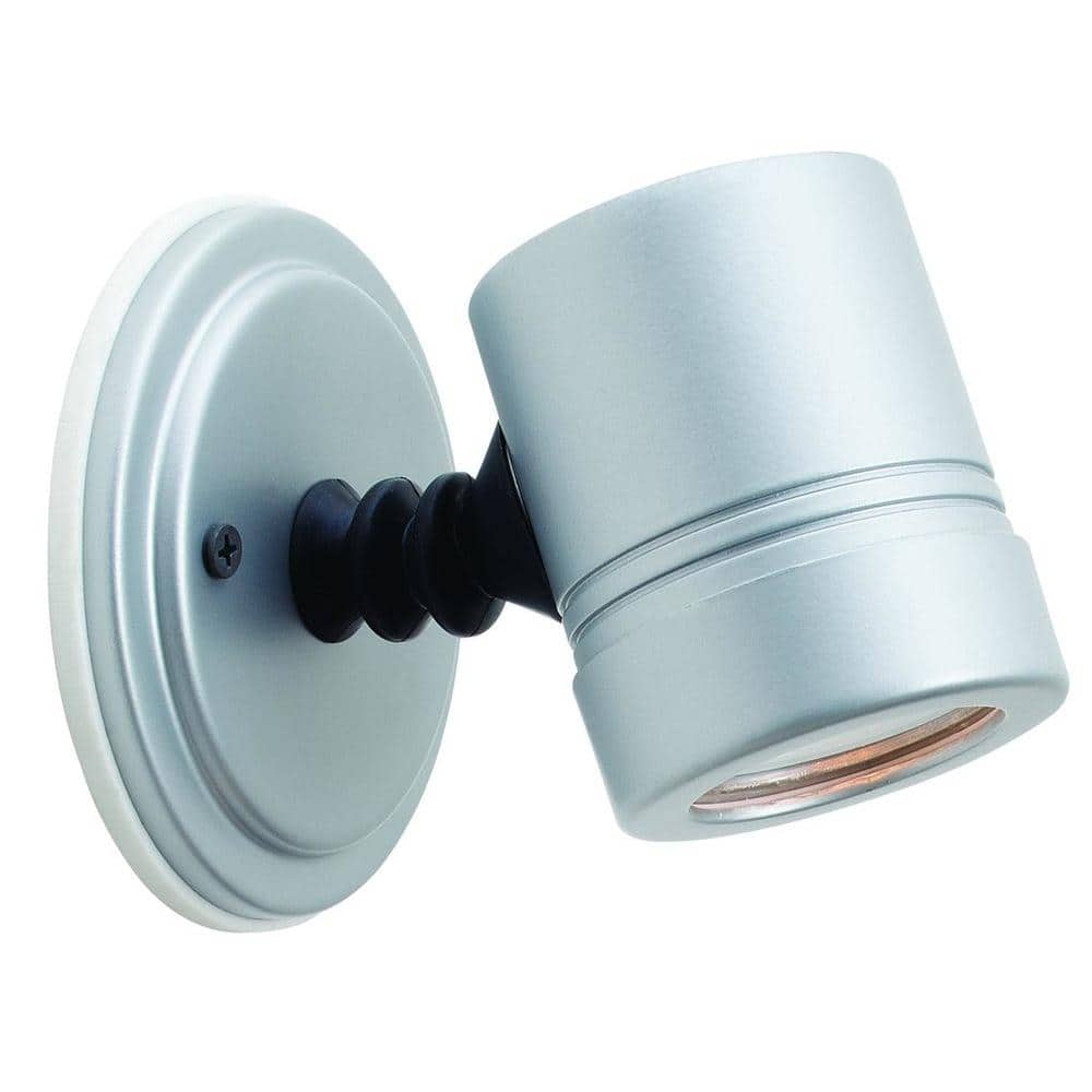 Myra 1-Light Silver Metal Outdoor Spot Light with Clear Glass Shade